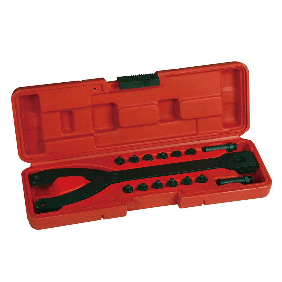 Adjustable Variable Pin Spanner Wrench Kit 15Pc Fan Clutch Pully 7696001051153
