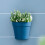 Wall Mounted Flower Pot Semicircle Shaped Plastic-Rice white 7