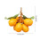 Simulation Loquat Artificial Simulation Loquat Fake Fruit Model 3