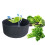 Large Capacity Plant Container Non Woven Fabric Plants-Black 52 6
