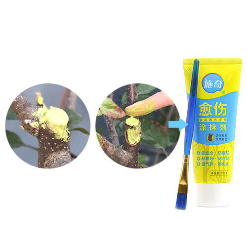 100 g Baumwunde-Bonsai-Schnittpaste, Schmiermittel,-Blau 1