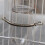 Spring with 2 Clips Hold Rabbit Water Dispenser Drinking Bottle 6