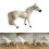 Figurine d'animal de Collection de chevaux, décoration pour 2