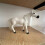 Figurine d'animal de Collection de chevaux, décoration pour 6