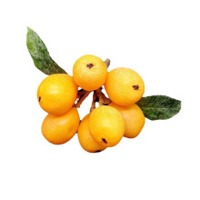 Simulatie Loquat Kunstmatige simulatie Loquat Fake Fruit Model