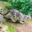 Statue de léopard des neiges, modèle Animal réaliste, guépard, 5
