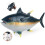 Simulation Tunas Educational Cognitive Marine-yellowfin tuna 6