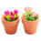 2Stk Mini Rose In Töpfchen Verziert Mini Accessoires Diy 1