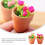 2Stk Mini Rose In Töpfchen Verziert Mini Accessoires Diy 11