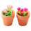 2Stk Mini Rose In Töpfchen Verziert Mini Accessoires Diy 6