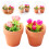 2Stk Mini Rose In Töpfchen Verziert Mini Accessoires Diy 9