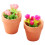2Stk Mini Rose In Töpfchen Verziert Mini Accessoires Diy 10