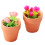2Stk Mini Rose In Töpfchen Verziert Mini Accessoires Diy 8