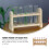 2Sets Mini Kunststoff Reagenzgläser Mit Stabilem Holzhalter 10