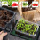 Adjustable Temperature Plant Heating Mat Waterproof Design For 6