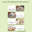 Professional Grooming Comb Fine Tooth-Green Fine tooth model 7