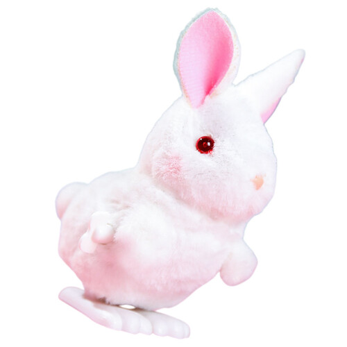 4 Stuks Bunny Speelgoed Voor Kinderen 1