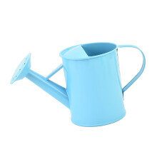 Modern Watering Can 600ml Iron Watering Pot For Home And-Blue