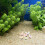12St Mini Decoratie Aquarium Met Kleuren 10