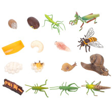 12 Sets Insektenmodell Entwicklung Bildung Mini