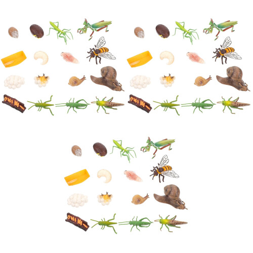 12 Sets Insektenmodell Entwicklung Bildung Mini 2