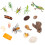 12 Sets Insektenmodell Entwicklung Bildung Mini 11