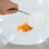 Aquarium Garnelen Mit Verlängerbarem 4