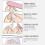 Faux ongles yeux de chat, couverture complète, pointes à-style5 6
