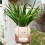 Unique Swing Face Planter Pots Hanging Head Planter Resin 4