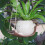 Unique Swing Face Planter Pots Hanging Head Planter Resin 7