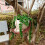 Unique Swing Face Planter Pots Hanging Head Planter Resin 6