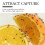 Fruit Fly Trap Refills Liquid Fruit Fly Traps for-1 bottle 6
