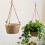 Garden Plant Storage Basket Hanging-Pointed bottom white 7