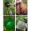 Plant High Pressure Box Propagation Ball Beginner-Clear Medium 7
