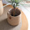 Grass Woven Flower Basket with Handle Bedroom Room-Large 5