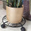 Plant Stand with Wheels Plant Support Heavy Duty Rolling-A 6