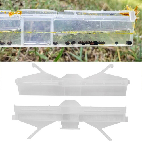 Beekeeper Tool  Bees Hives Insect Trap Clear Plastic Reusable 1
