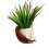 Swing Face Planters Pots Desktop Gardening Potted Succulent 1
