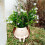 Swing Face Planters Pots Desktop Gardening Potted Succulent 5