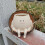 Swing Face Planters Pots Desktop Gardening Potted Succulent 7