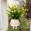 Swing Face Planters Pots Desktop Gardening Potted Succulent 4