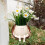 Swing Face Planters Pots Desktop Gardening Potted Succulent 6