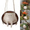 Swing Face Planters Pots Desktop Gardening Potted Succulent 2