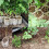 100 Stück Kindergarten-Beutel, Beutel, Gartenbepflanzung,-8x9cm 6