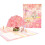Unique Birthday Card 3D PopUp Greeting Card Impressive Visual-2 1