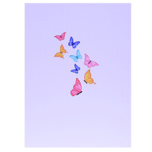 Beautiful Butterfly 3D Card Set Durable Greeting Card for