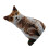 Cotton Cat Printed Throw Pillow Soft and Comfortable-gray cat 1