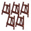 10 Holzleiter Modell 10