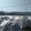 Winter Plant Warming Blanket Covers Garden Breathable-3 6