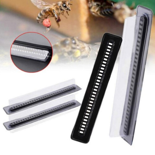 10/12Pcs Bees Hives Insect Baitable Trap Collector-small box 2
